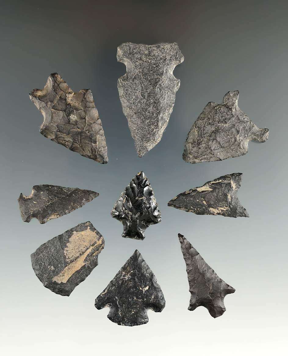 Pictured! Group of nine assorted points found in Oregon on from the collection of Jim Hogue.