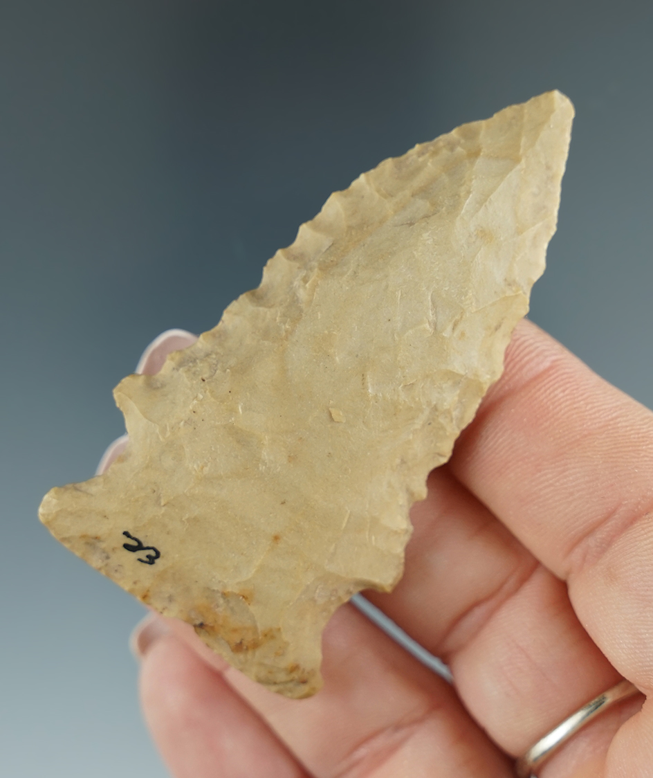 2 5/8" Greenbrier found in Graves Co.,Kentucky.