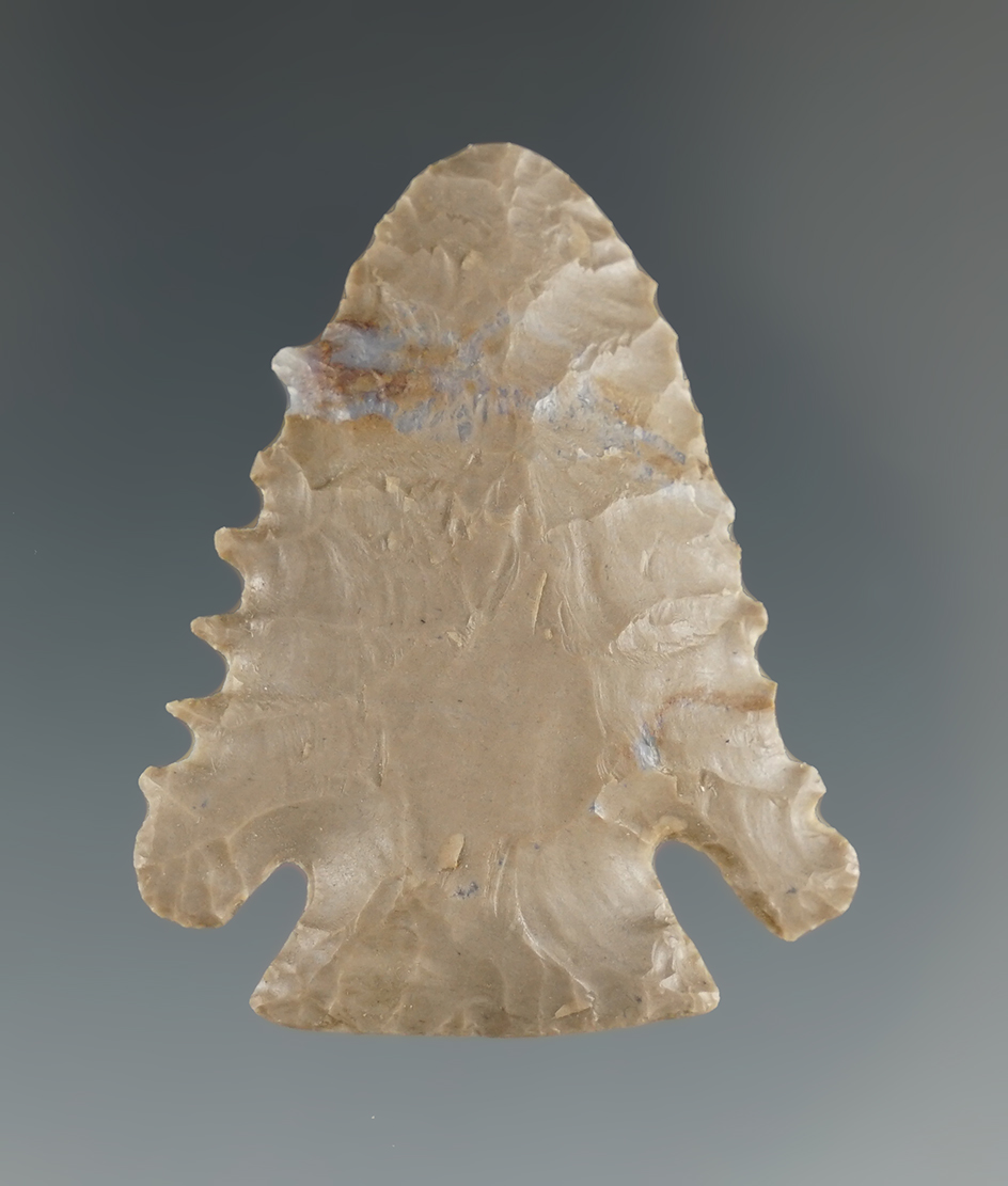 Excellent flaking on this 1 5/8" serrated Pine Tree point found in Seymour Co.,Kentucky.