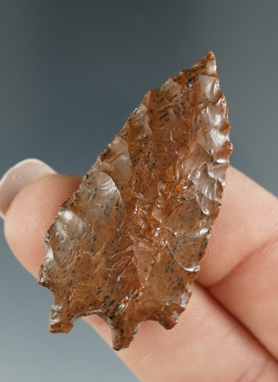 Nice! 1 13/16" Pinto Basin made from attractive mahogany obsidian - Lakeview, Lake Co.,Oregon.
