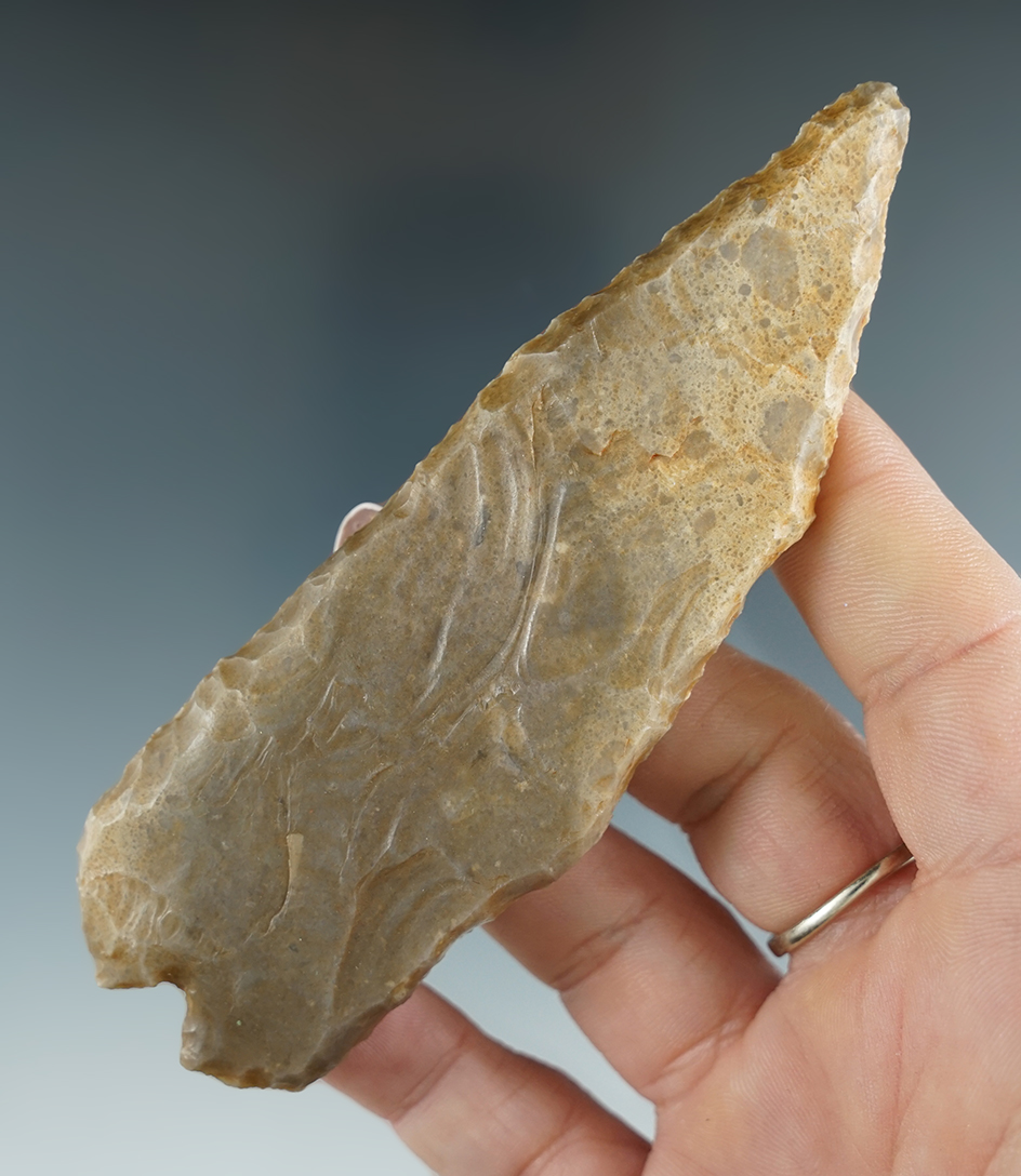 Ex. Perino! Paleo backed-knife found by Hub Rowden near Mount Pleasant, Texas.