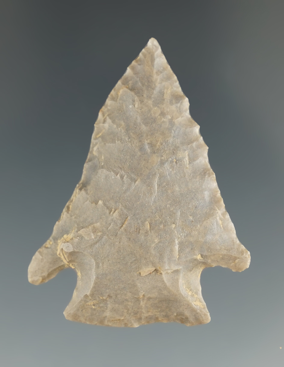 1 3/4" Pine Tree point found in Henry Co.,Tennessee.