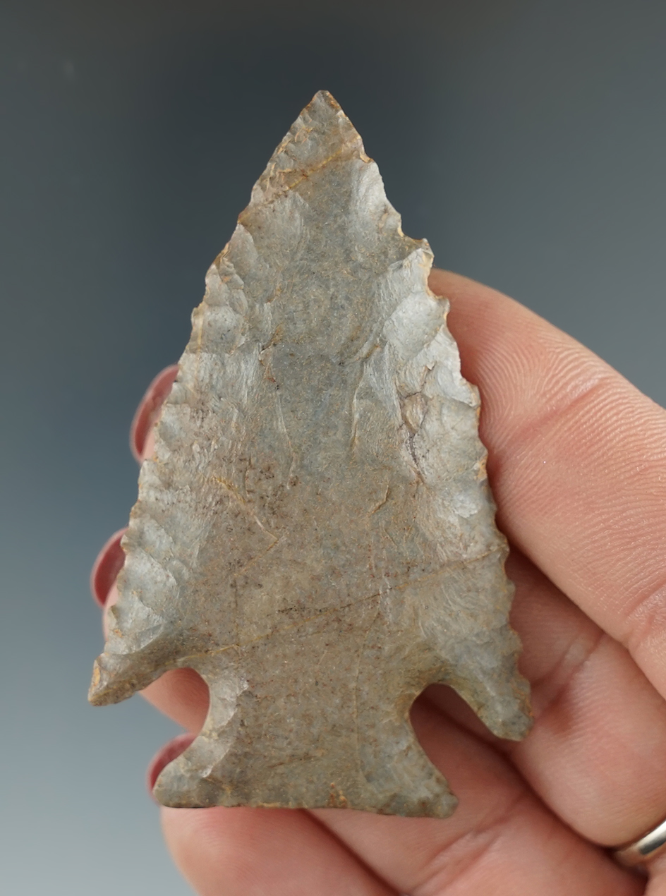 Excellent flaking and style on this 2 1/2" serrated Cornernotch found in Kentucky.