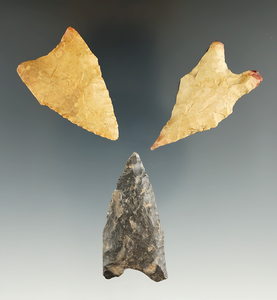 Set of three Dalton points found in East Texas, largest is 1 3/4".