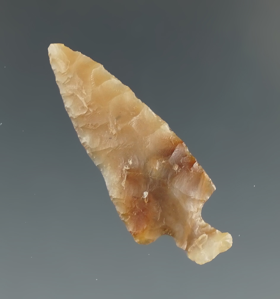 1 1/4" Columbia River Gem point  found near the Columbia River. Ex. Jim Hogue collection.