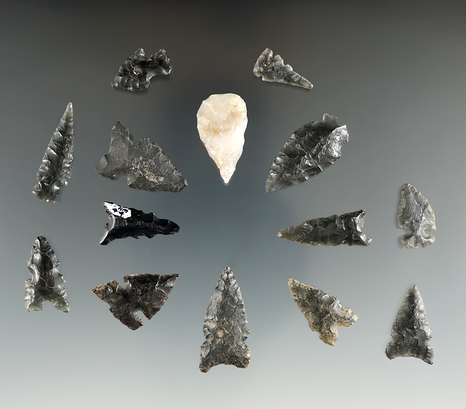 Group of 14 assorted arrowheads found in Oregon, largest is 1 1/8".