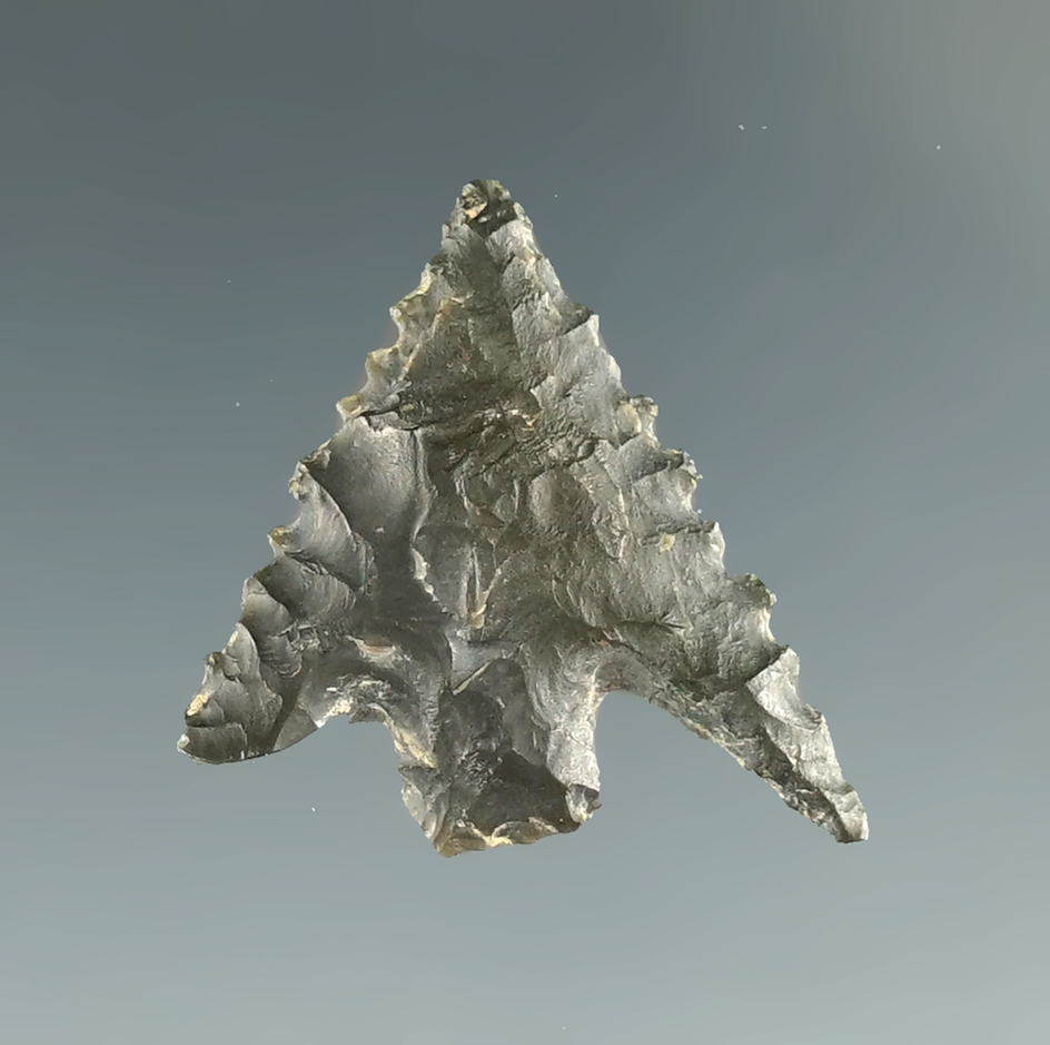 Ex. Museum! 7/8" nicely serrated Gunther found in southern Oregon.