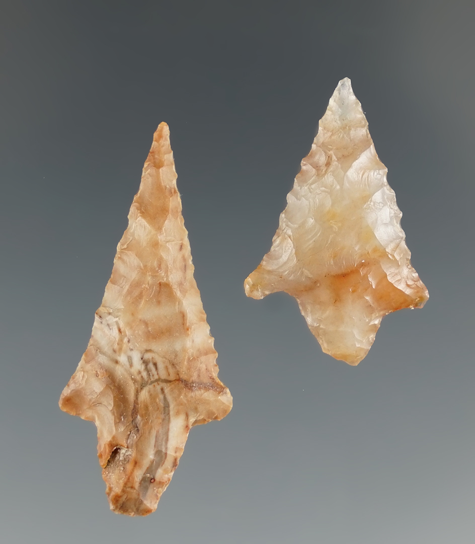 Pair of beautiful Rabbit Island points found near the Columbia River, Roosevelt Washington.