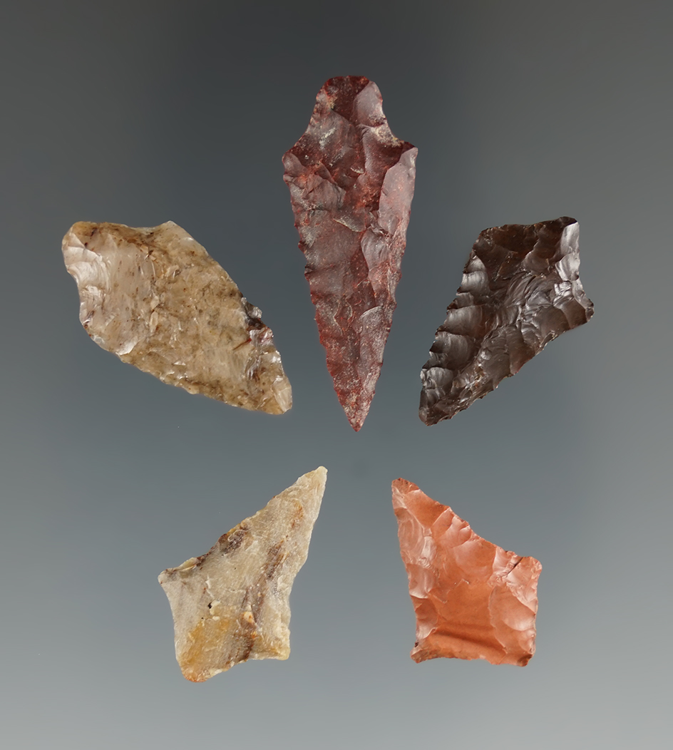 Set of five Rabbit Island points found near the Columbia River, Klickitat Co.,Washington.
