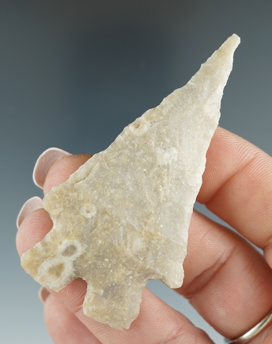 Nicely styled 2 5/8" Montell point found in Central Texas. Ex. Scott Hoffman, Gregory Perino.