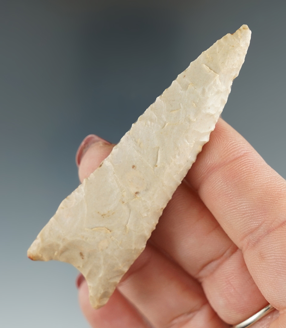 2 15/16" Dalton found in East Texas.