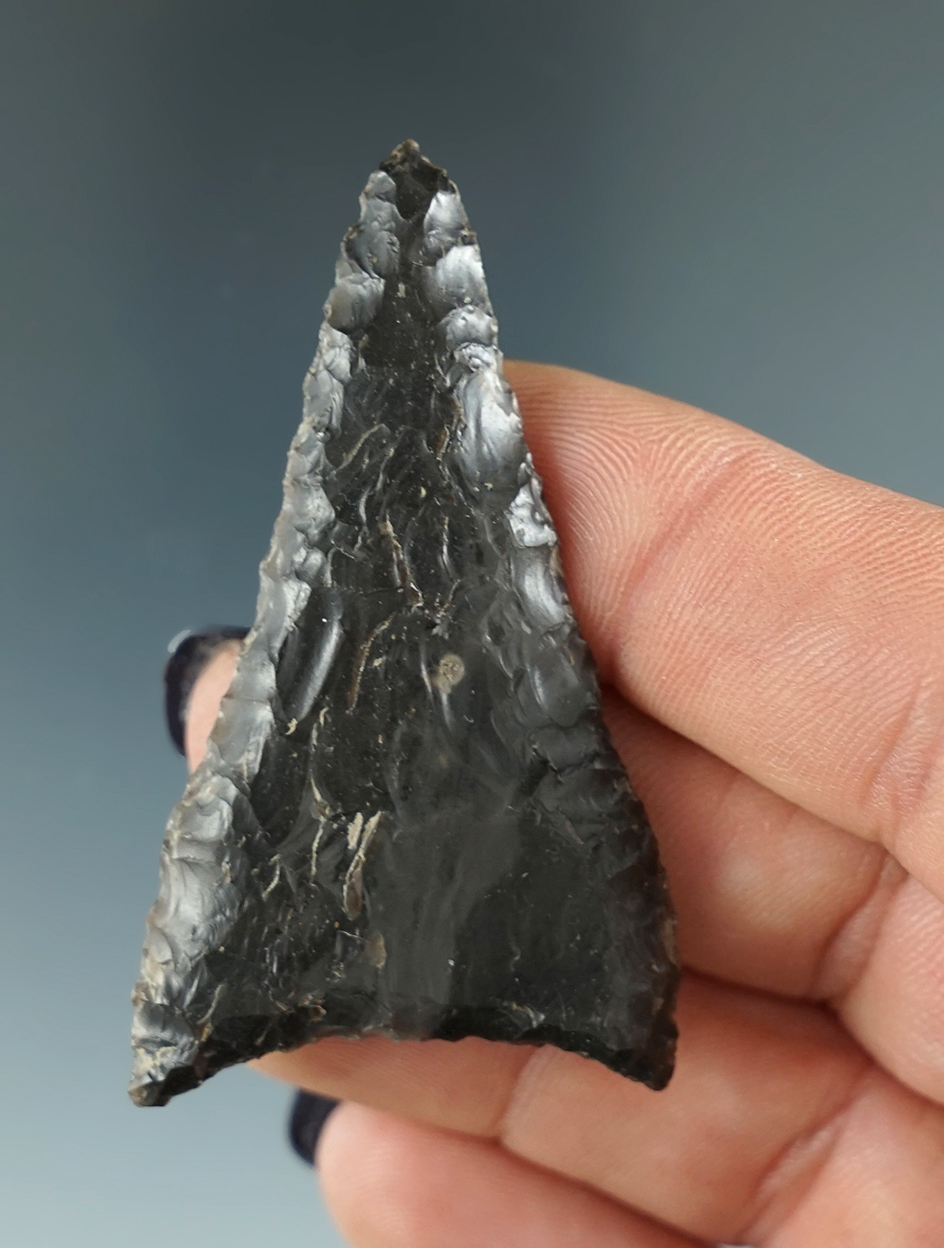 Excellent flaking and style on this 2 1/4" Columbia Mule Ear found near the Columbia River.