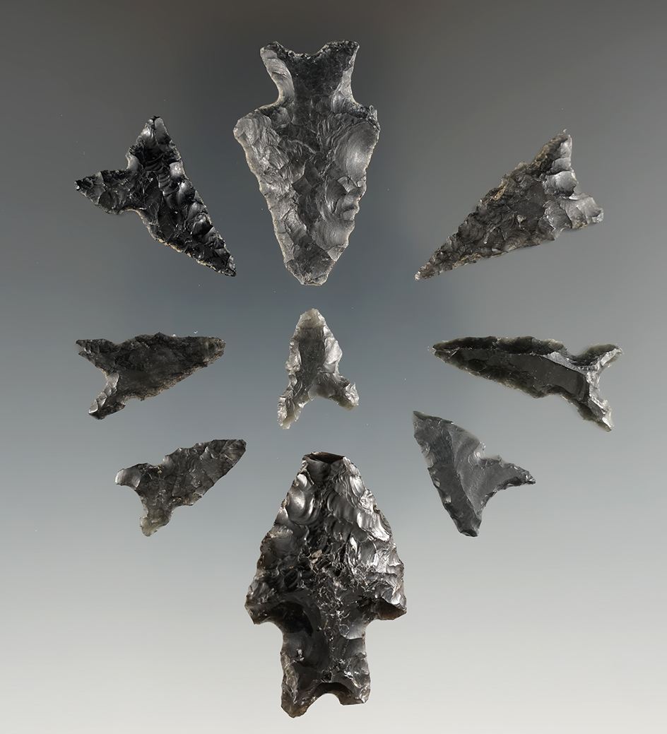 Group of nine assorted arrowheads collected in Oregon, largest is 1 7/16". Ex. Jim Hogue collection