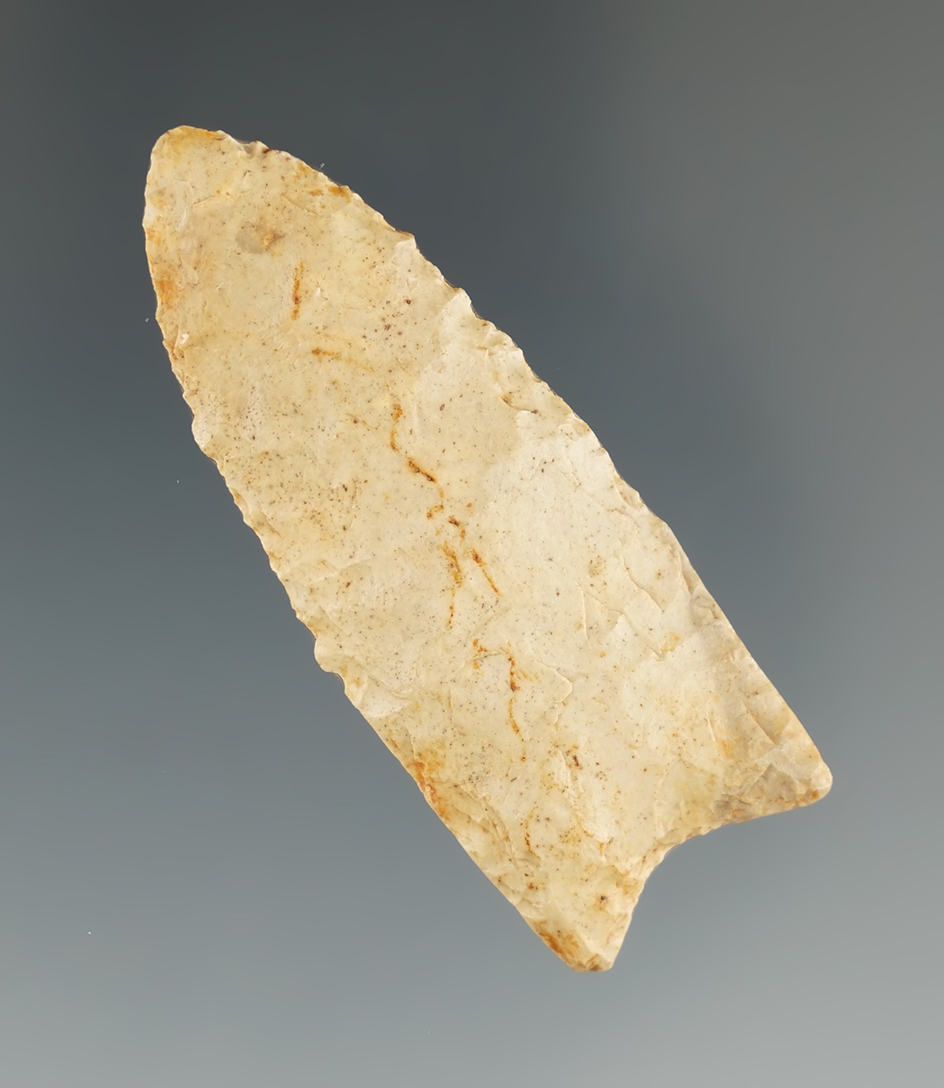 2" Dalton point found in Harrison Co.,Texas.