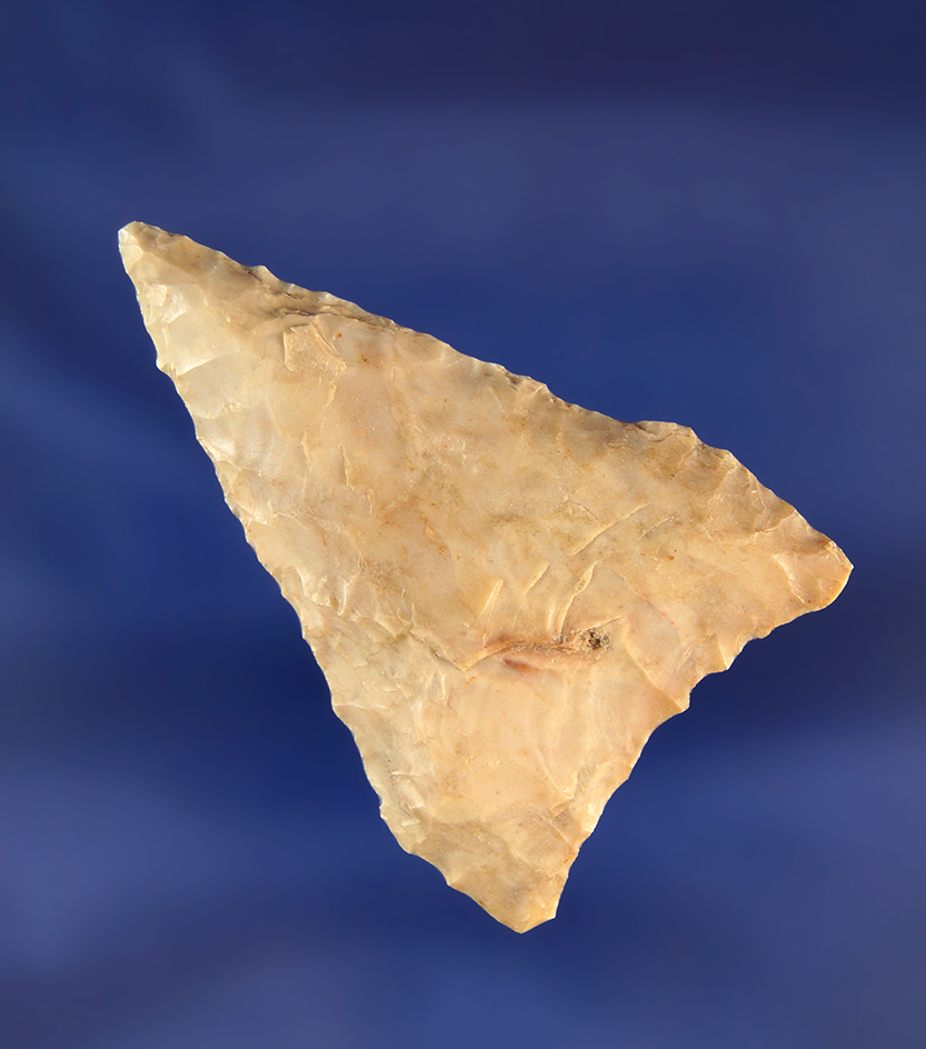 2" Columbia Mule Ear found near the John Day Rapids by Kaye Don Bruce in excellent condition.