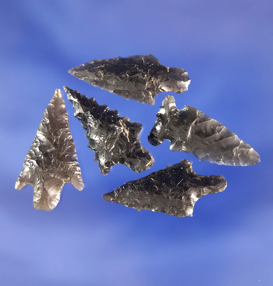 Set of five Obsidian arrowheads found in Oregon, largest is 15/16".
