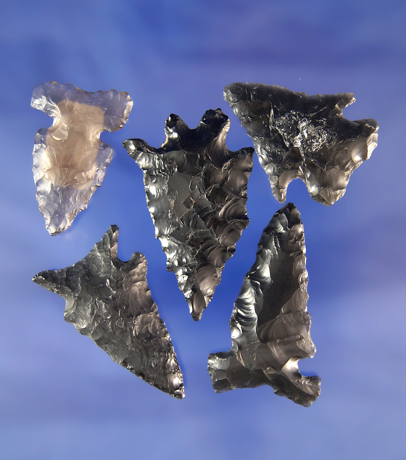 Set of five Obsidian arrowheads found in Oregon largest is 1 11/16."