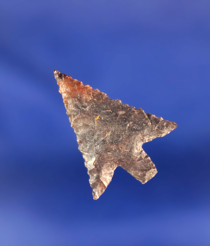 1" Wallula Gap Rectangular stem with incredible flaking- Columbia River in perfect condition. -