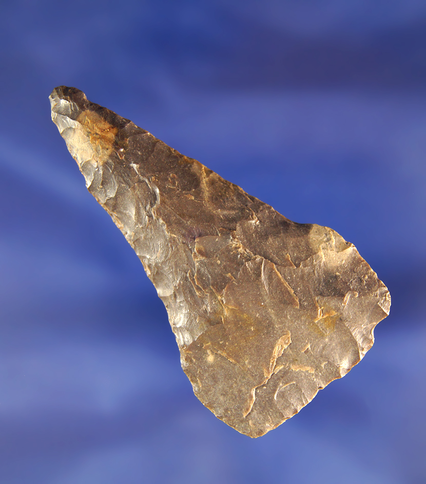 2 3/4" Plateau Pentagonal found near Savies Island.