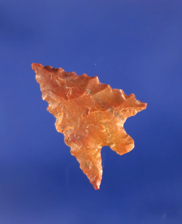 Nicely serrated 13/16" Gempoint found in Oregon.