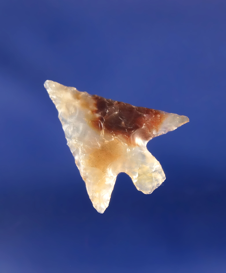 Exceptional 3/4" Wallula Rectangular Stem found near the John Day Rapids by Kaye Don Bruce.