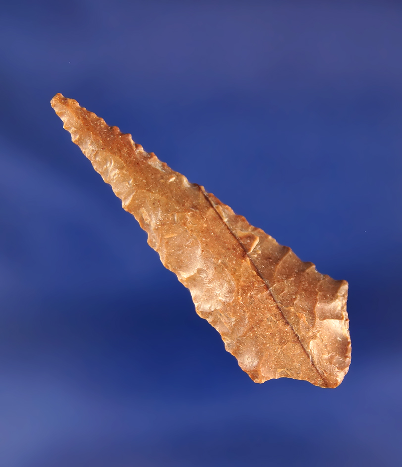 1 3/4" Rabbit Island that is nicely shaped. Found near the Ohbe site. Ex. Wiley collection.