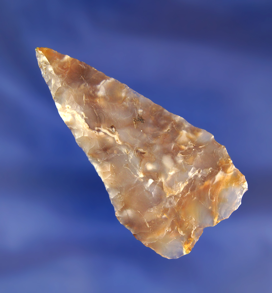 2 7/16" Plateau Pentagonal - attractive semi translucent Agatized Wood - Columbia River.