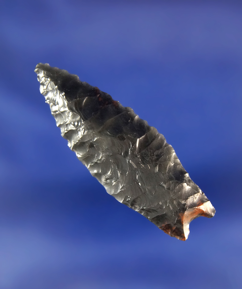 1 11/16" Obsidian Humboldt. found near Fort Rock Oregon.