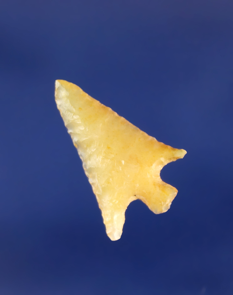 13/16" yellow chalcedony Columbia Plateau found near the Columbia River, Oregon.