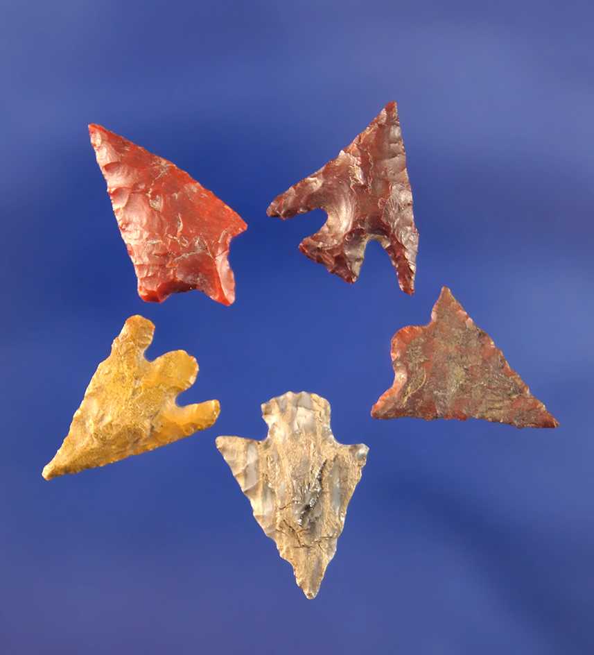 Set of five Columbia River arrowheads, largest is 5/8".