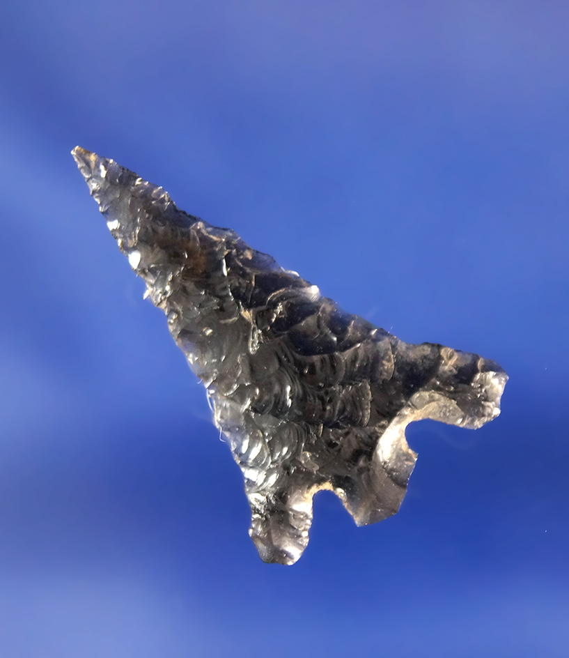 1 3/16" Obsidian Columbia Plateau found in Oregon.