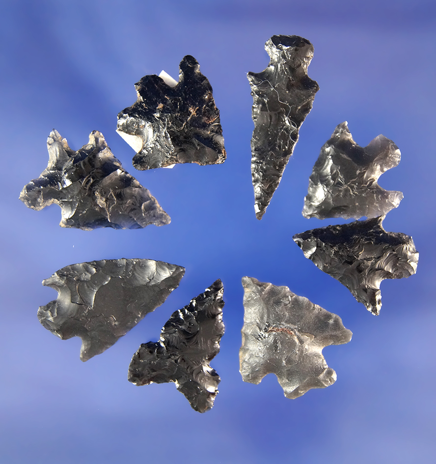 Set of eight assorted Obsidian arrowheads, largest is 1 1/16". All found in Oregon.