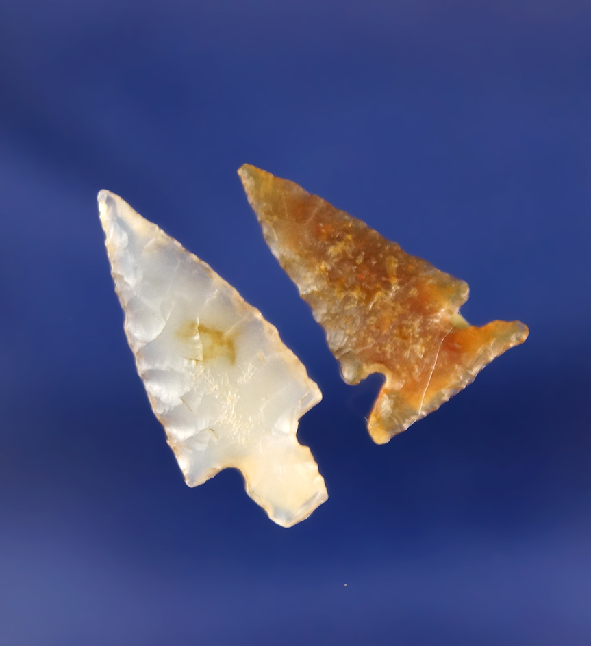 Pair of Columbia River Gempoints found in Oregon, largest is 1". Both are in very nice condition.
