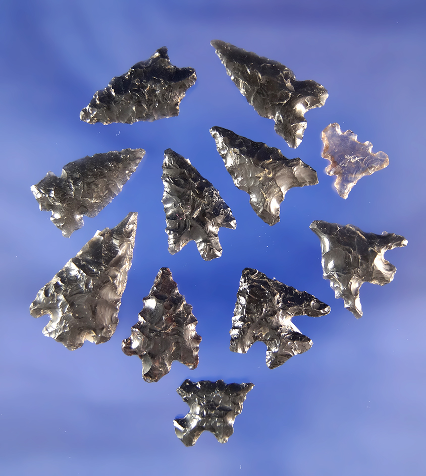 Set of 11 Obsidian arrowheads found in Oregon, largest is 1".