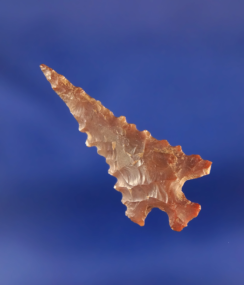 1 5/16" serrated point found near Muddy Creek in Lynn County Oregon. Ex. Howard