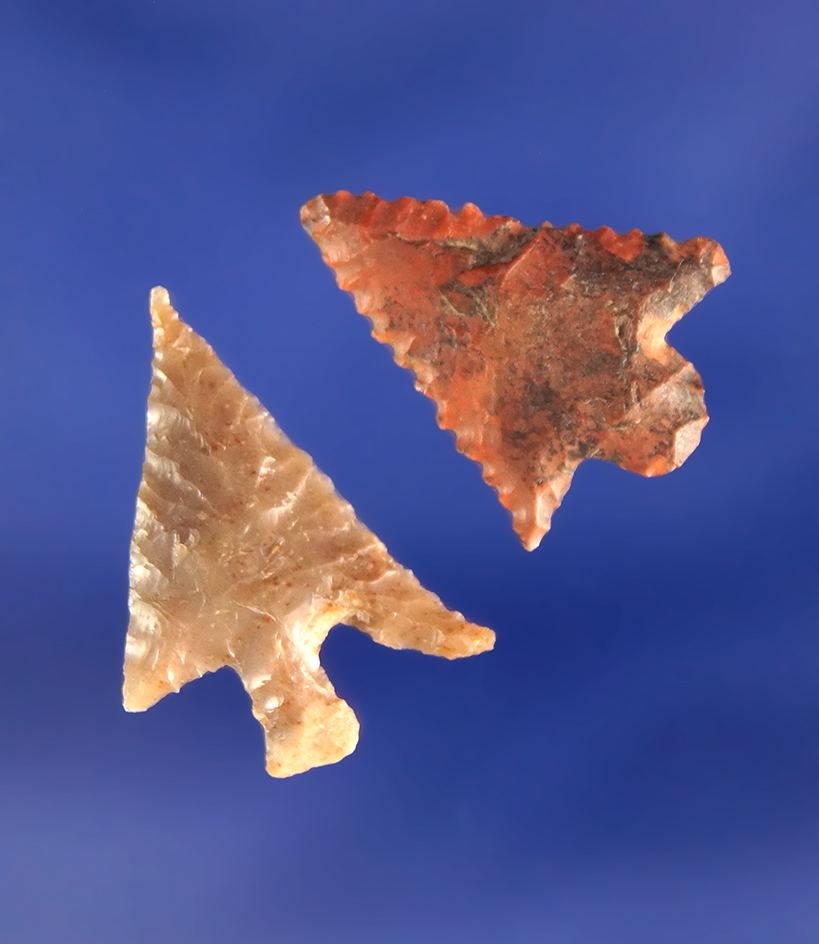 Pair of nice Columbia Plateau points found near the Columbia River, Oregon. Largest is 13/16".