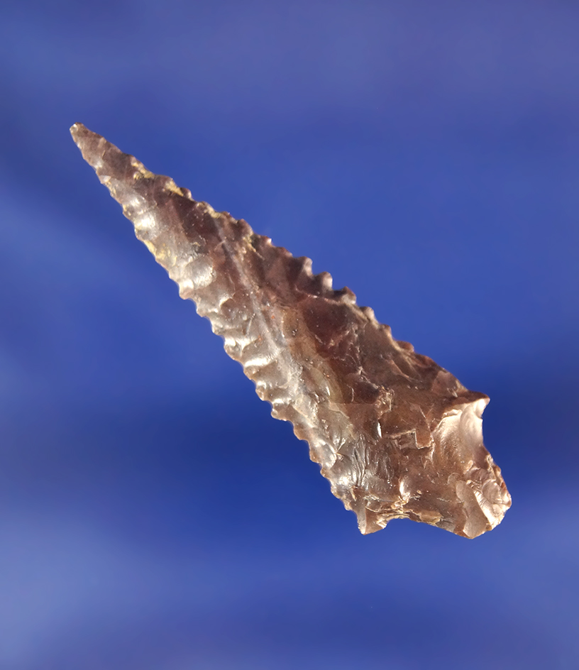 Nicely serrated and well flaked 1 3/4" Rabbit Island Dart point found near Yeager Island.