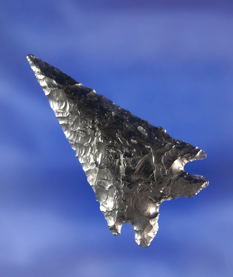Truly exceptional 1 13/16" Obsidian Elko Eared found near Fort Rock Oregon.