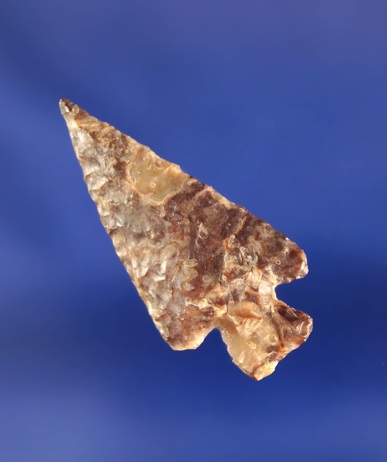 Nicely patinated 1 3/16" Columbia River arrowhead.