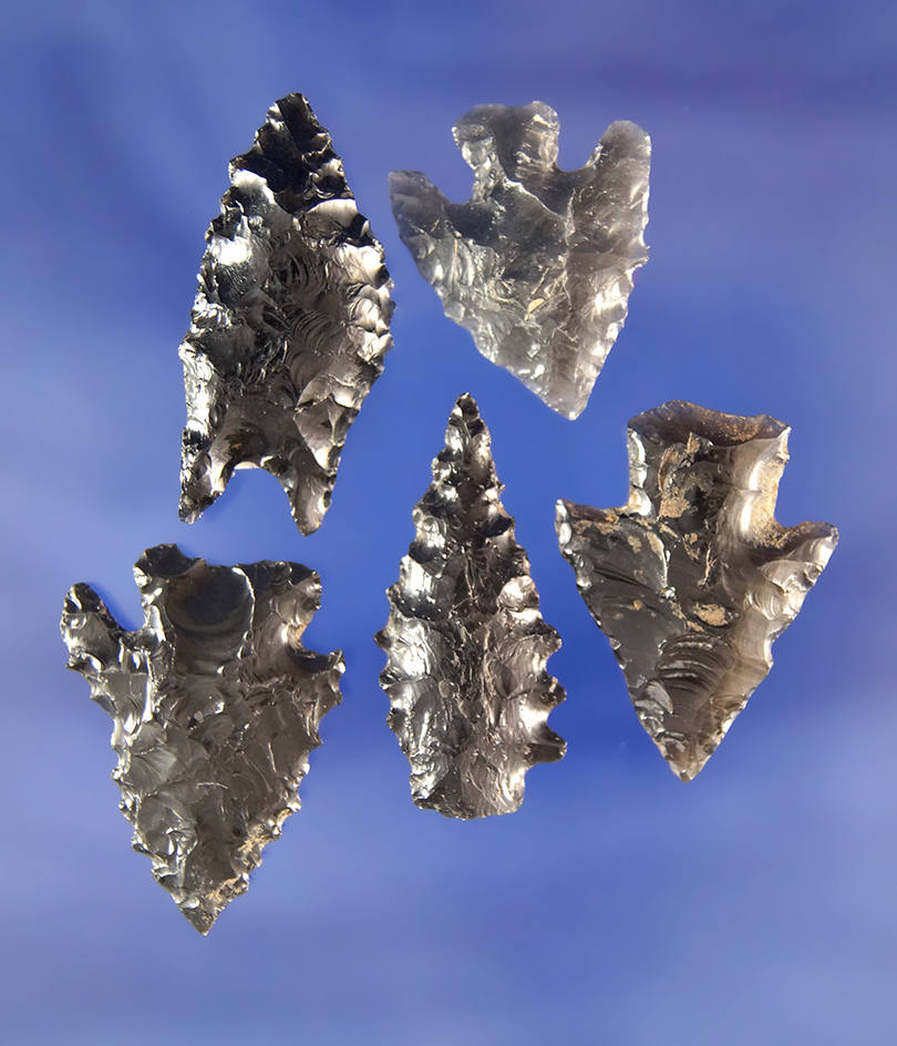 Set of five Obsidian arrowheads found in Oregon, largest is 1 3/16".