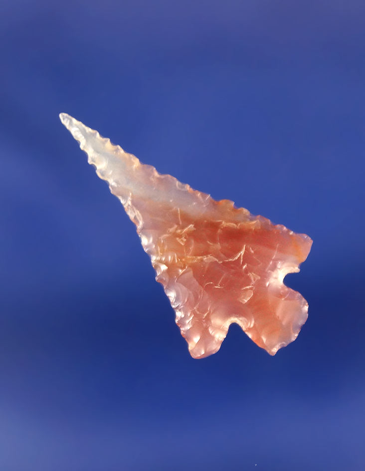 Highly serrated 1" Columbia Plateau made from beautiful two-tone agate with a needle tip.