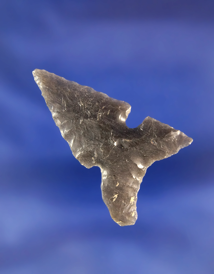 1 5/8" Northern Side Notch - heavily patinated semi translucent Obsidian Fort Rock Oregon.