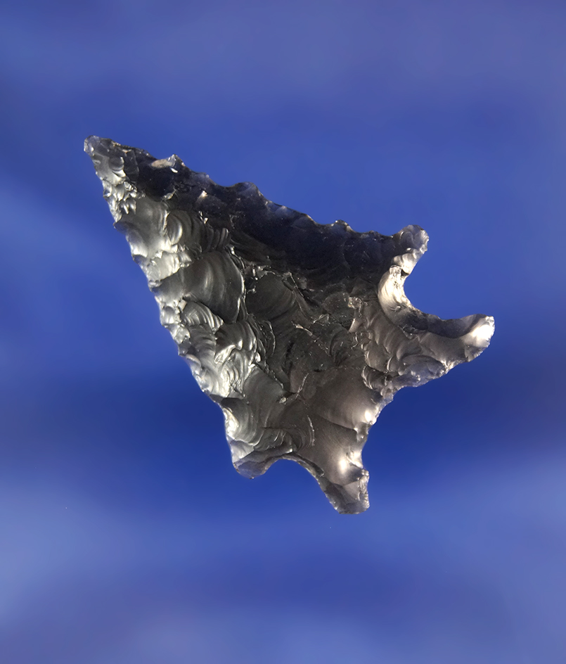 1 7/16" Obsidian Elko with nice serrations found near Fort Rock Oregon.