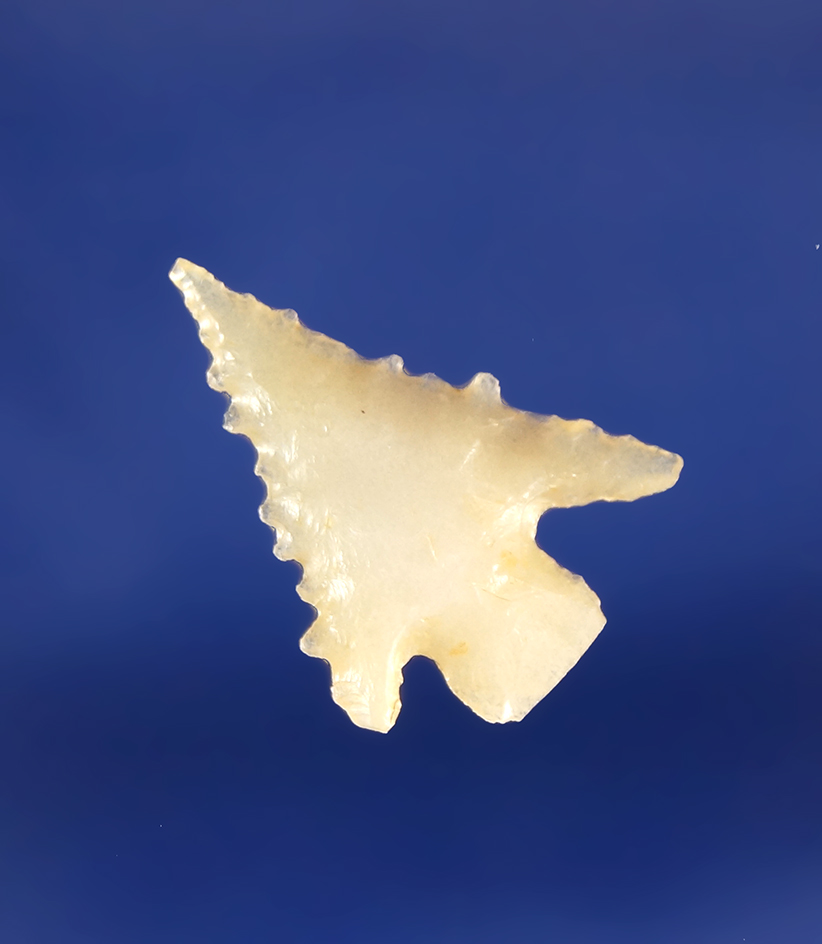 Attractive and nicely serrated 13/16" Columbia Plateau made from beautiful Opalite.