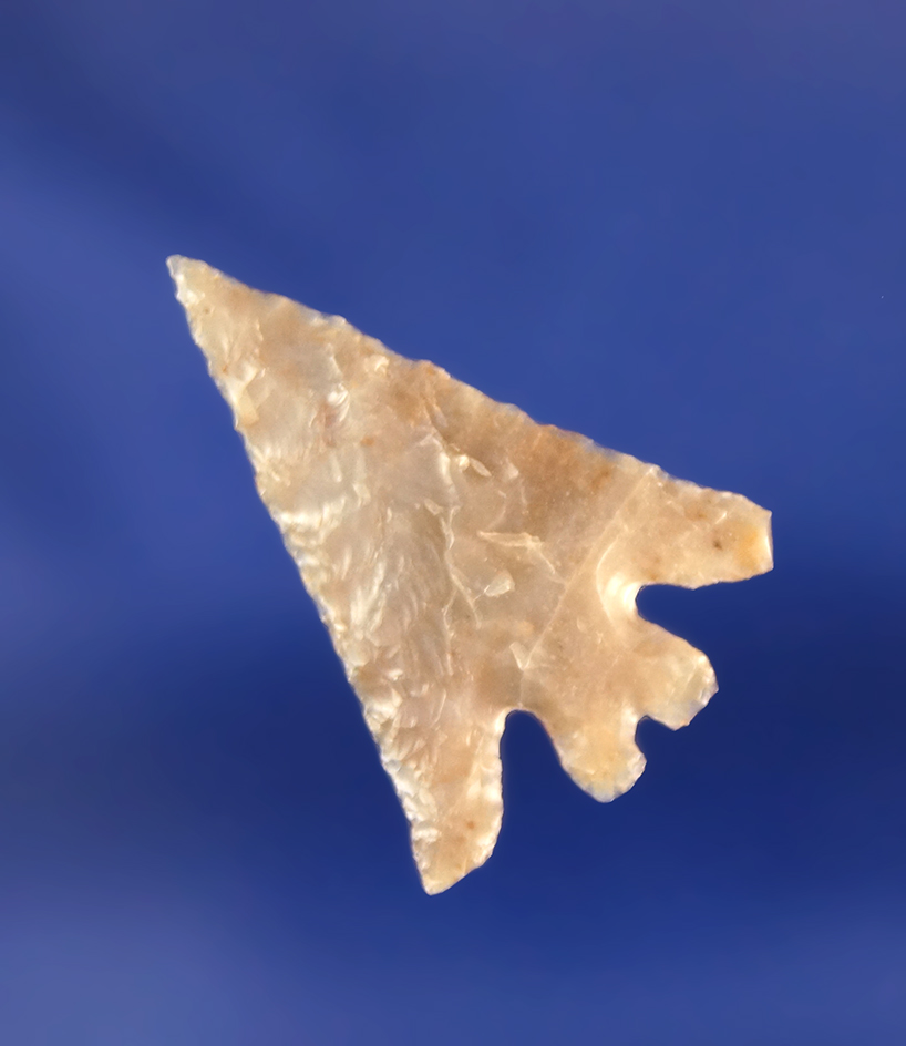 1" thin and well flaked Eastgate Split-stem - nicely styled from quality material - Columbia River.