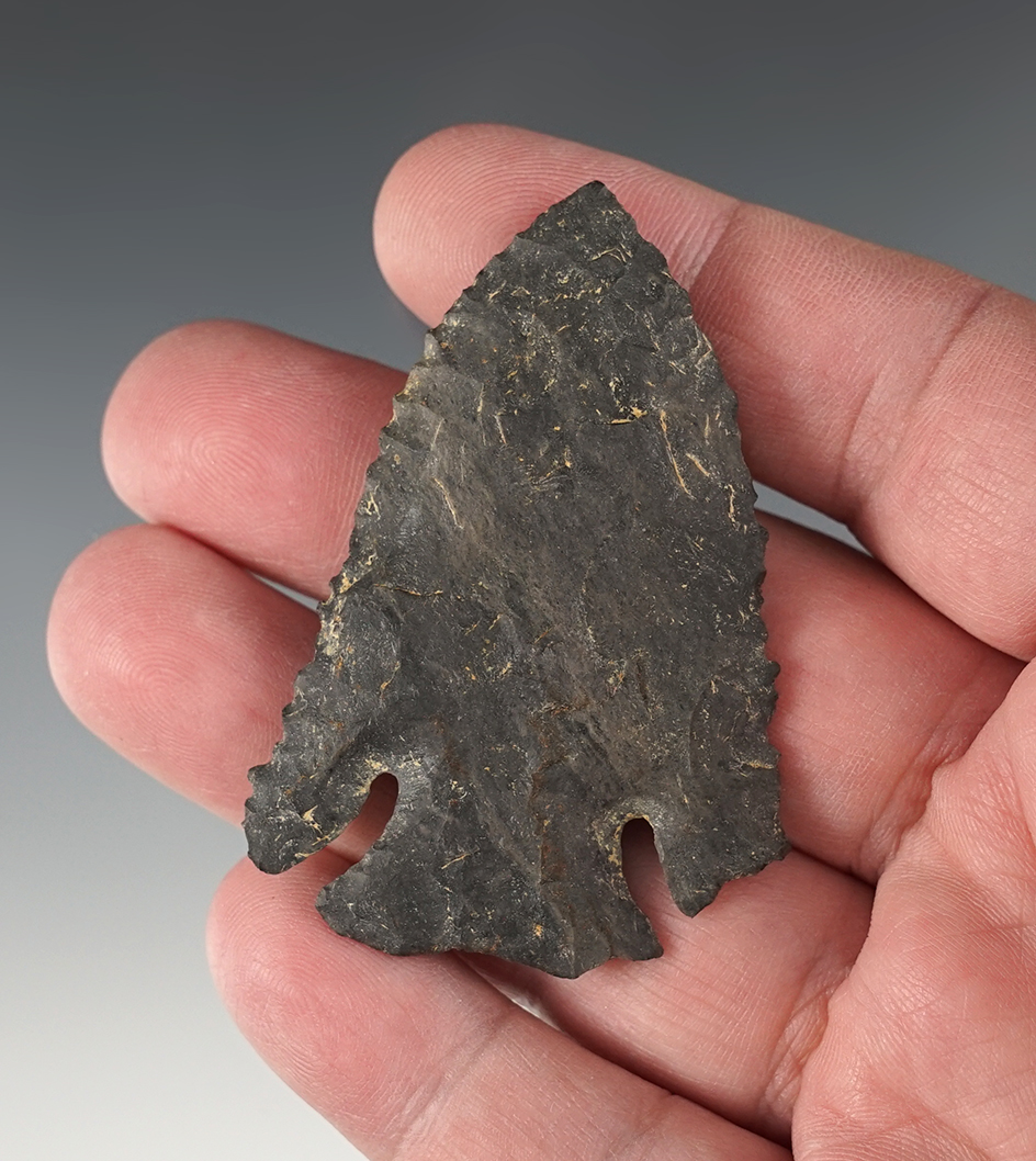 2 7/16" Ohio Archaic Deep Notch - Exceptional piece.