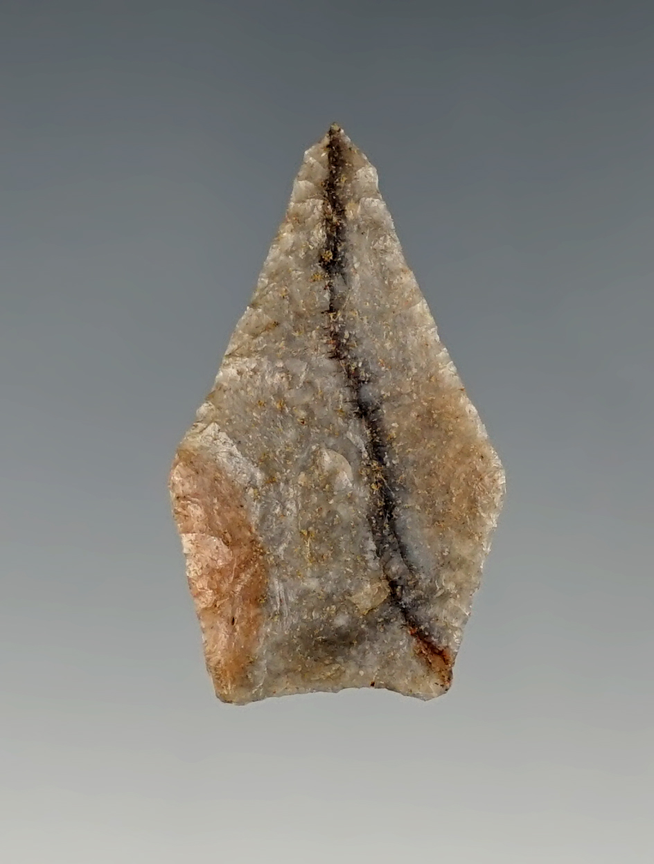 1 1/8" Thin Jacks Reef Pentagonal - Kentucky.