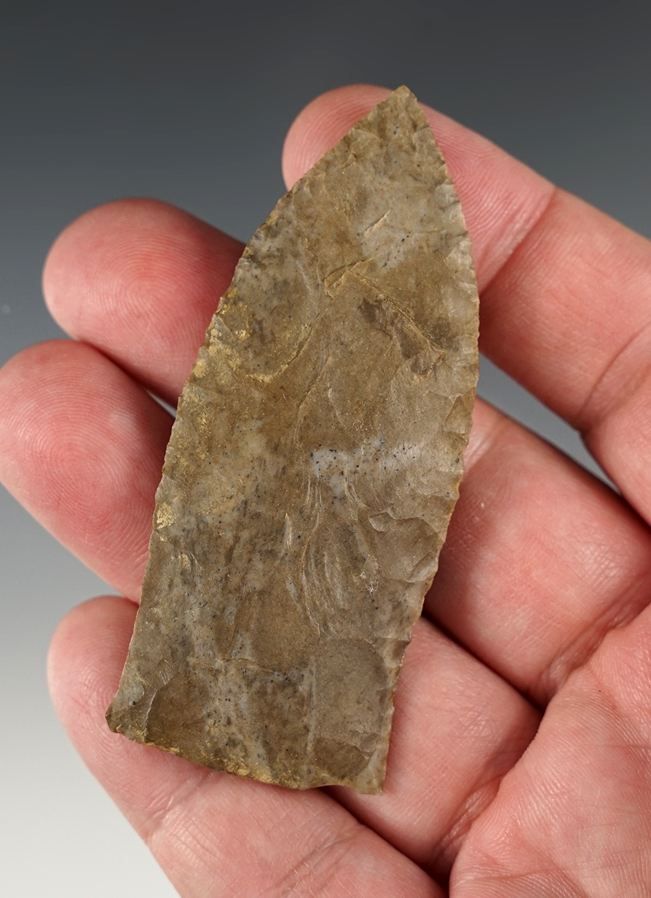 Fine 2 15/16" Copena Classic - Trigg Co., Kentucky.