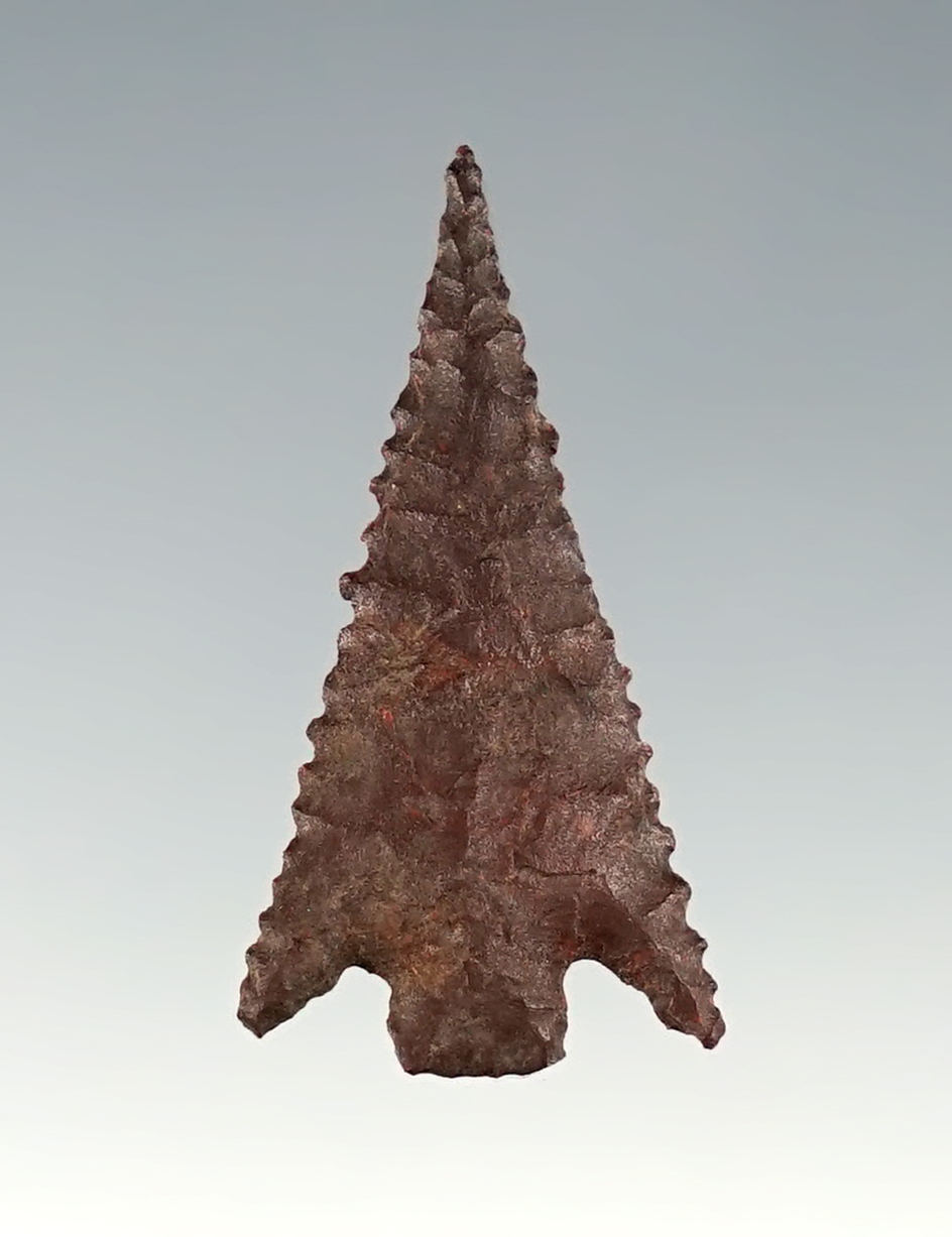 Finely serrated 1 1/16" Arrow Point - Western U.S.