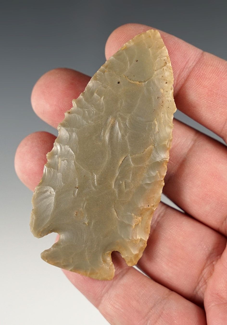 3" Lightly Serrated KY Dovetail - Carter Cave Flint.